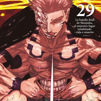 JUJUTSU KAISEN 29