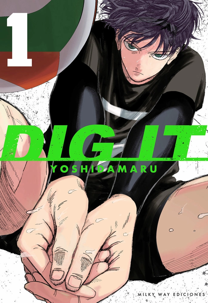 DIG IT 1