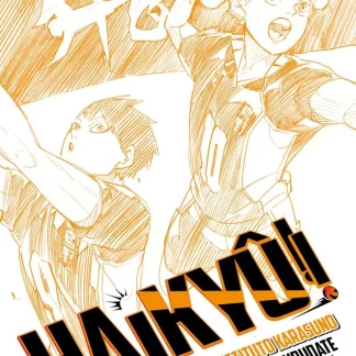 HAIKYU NOVELA 1