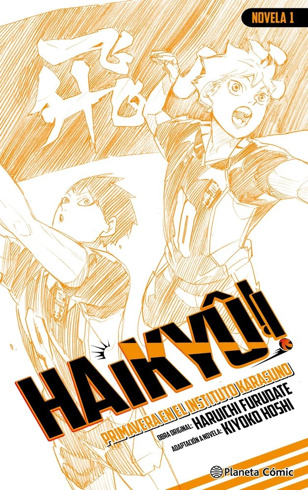 HAIKYU NOVELA 1